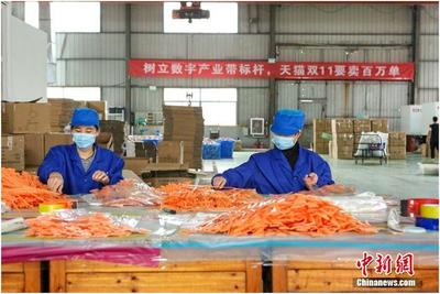 天猫双11产业带首日销量井喷，7个产地1小时破亿彰显日用百货消费活力